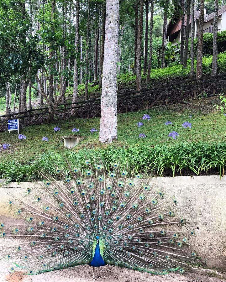 Hotel Fazenda Monte Verde Golf & Resort Vargem Alta Eksteriør billede