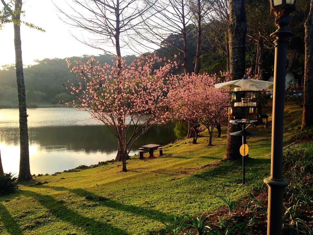 Hotel Fazenda Monte Verde Golf & Resort Vargem Alta Eksteriør billede