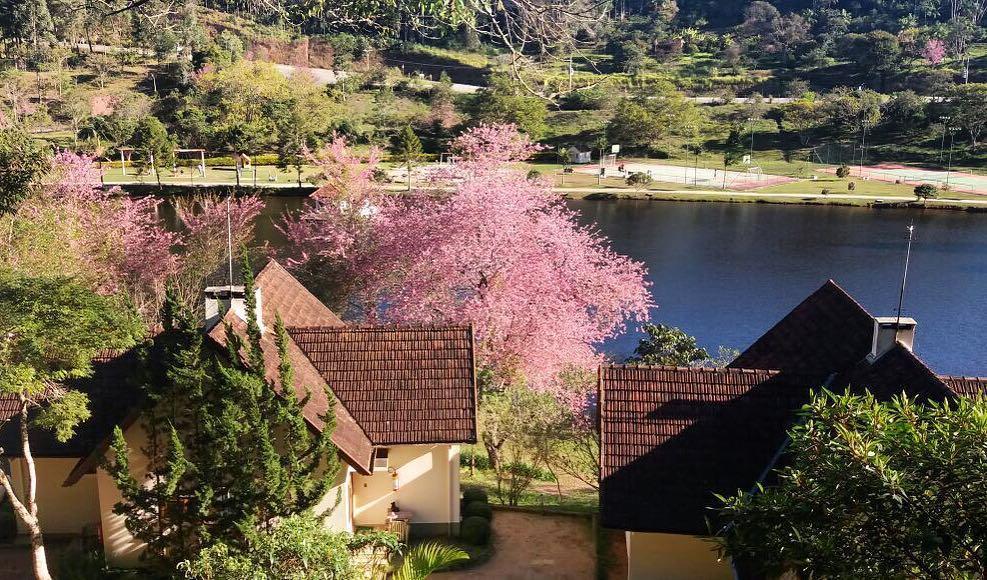 Hotel Fazenda Monte Verde Golf & Resort Vargem Alta Eksteriør billede