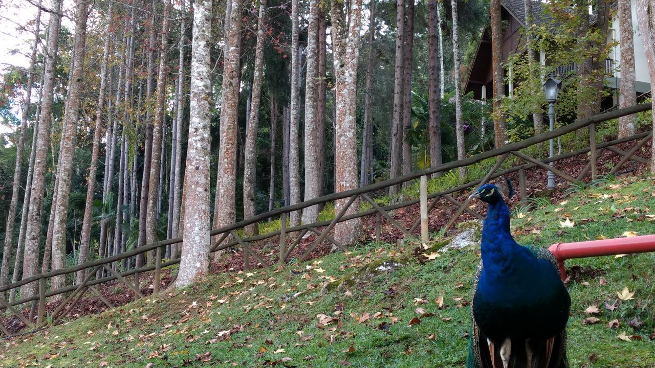 Hotel Fazenda Monte Verde Golf & Resort Vargem Alta Eksteriør billede