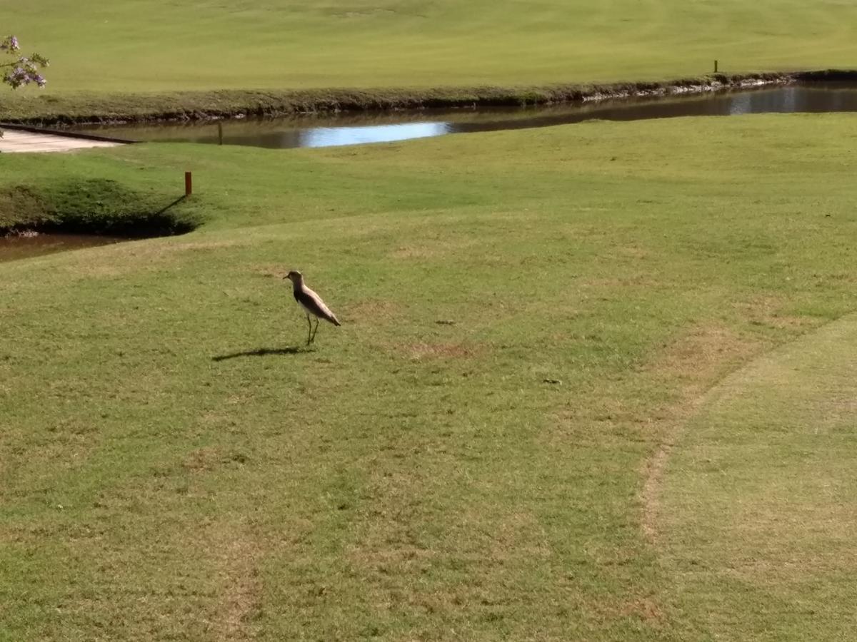 Hotel Fazenda Monte Verde Golf & Resort Vargem Alta Eksteriør billede